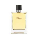 هيرمس عطر تيري دي هيرمس أو دو تواليت للرجال - 100 مل